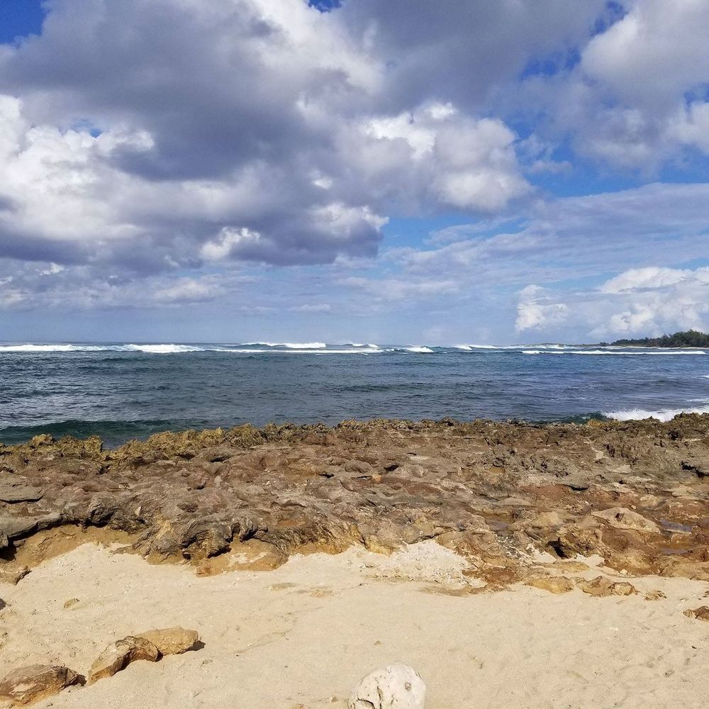 Meet your Posher, Sean